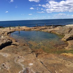 Ivor Rowe Rockpool - Stunning