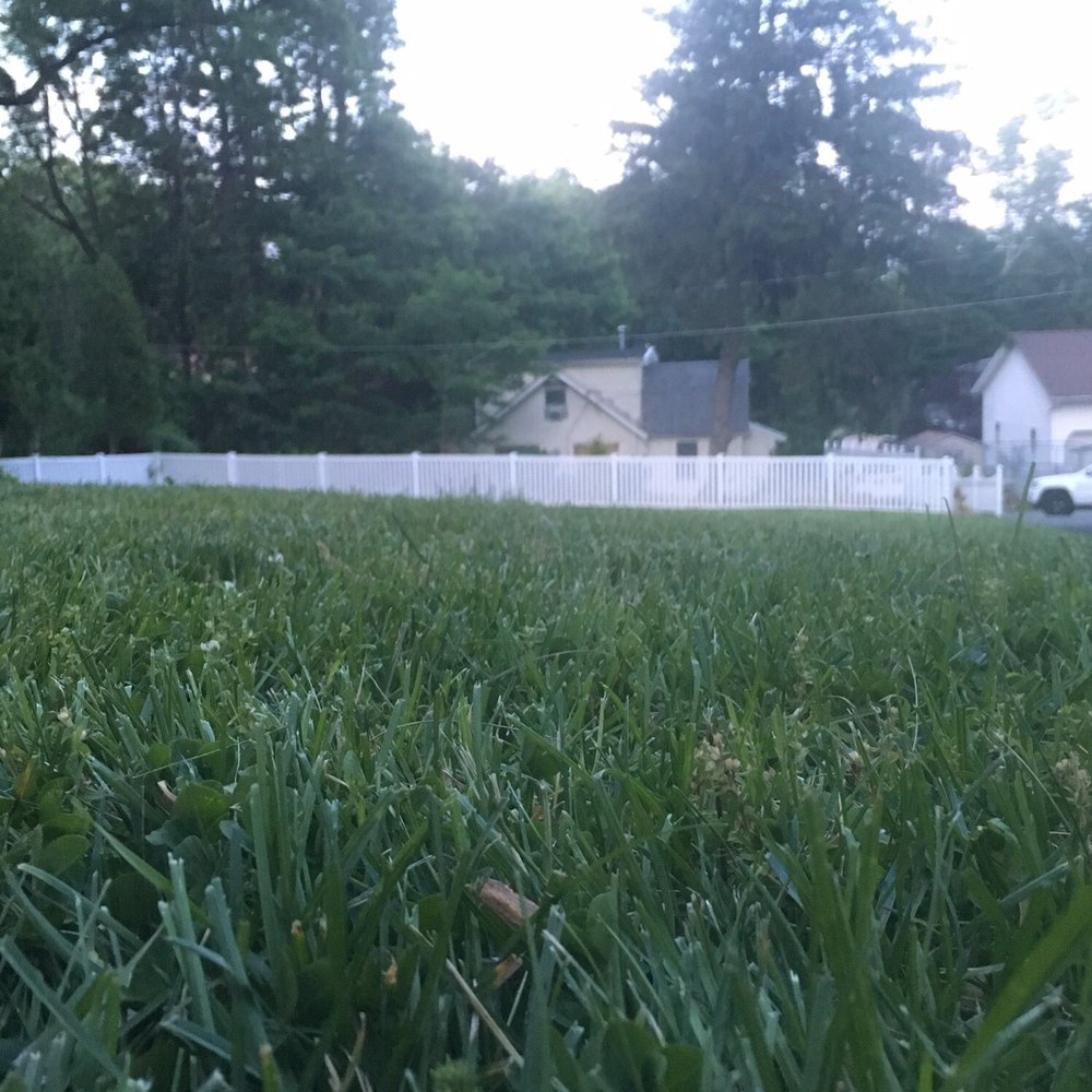 Daley Landscaping - Landscaping Near Me Daley Landscaping - Landscaping Near Me