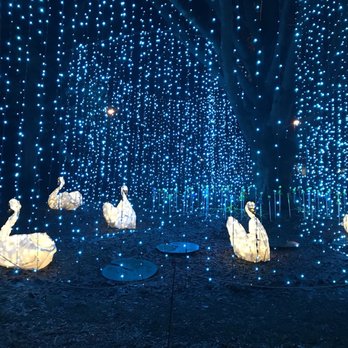 Burnaby Village Museum - Swan bright lights. - Museums Near Me - Burnaby, British Columbia