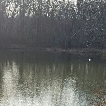 Fort Frederick State Park - We didn't see a beaver, but they boast a plenty... - Parks Near Me - Big Pool, Maryland Fort Frederick State Park - We didn't see a beaver, but they boast a plenty... - Parks Near Me - Big Pool, Maryland