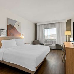 Spark by Hilton Fountain Hills Scottsdale - Guest room