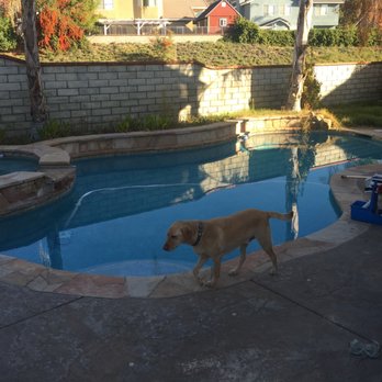Kyle Bowen Pool Service - Puppy approved! - Pool Cleaners Near Me Kyle Bowen Pool Service - Puppy approved! - Pool Cleaners Near Me