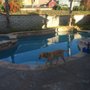 Photo of Kyle Bowen Pool Service