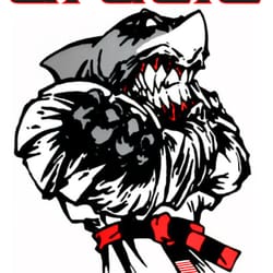 Gracie Ohio - Relson Gracie Jiu-Jitsu Academy
