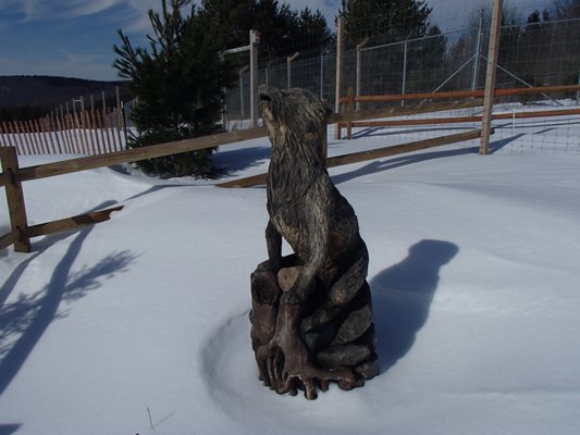 Wolf Mountain Nature Center by null