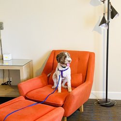 Ashland Hills Hotel & Suites - Cozy chair vibes in the bigger room