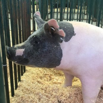 Tennessee State Fair - Festivals Near Me - Nashville, Tennessee Tennessee State Fair - Festivals Near Me - Nashville, Tennessee