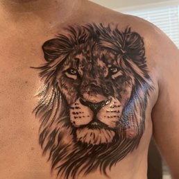 Lion Lion