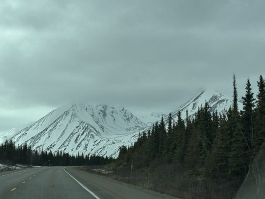 Talkeetna Roadhouse by null