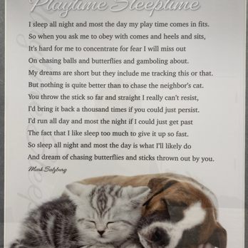 Salzburg Animal Hospital - Veterinarians Near Me - Ormond Beach, Florida Salzburg Animal Hospital - Veterinarians Near Me - Ormond Beach, Florida
