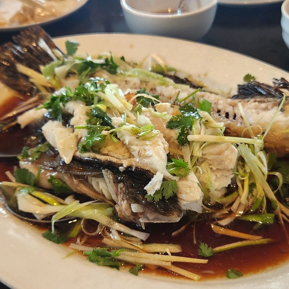 Grand Cafe - Steamed fish - Cafes Near Me - Dublin, California Grand Cafe - Steamed fish - Cafes Near Me - Dublin, California