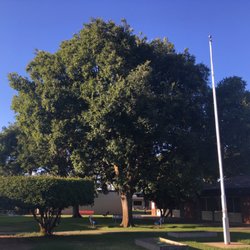 April Lane Elementary School