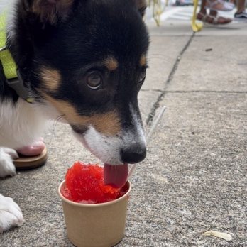 Ice Queens - Cherry snow cone, puppy - Shaved Ice Near Me - Baltimore, Maryland
