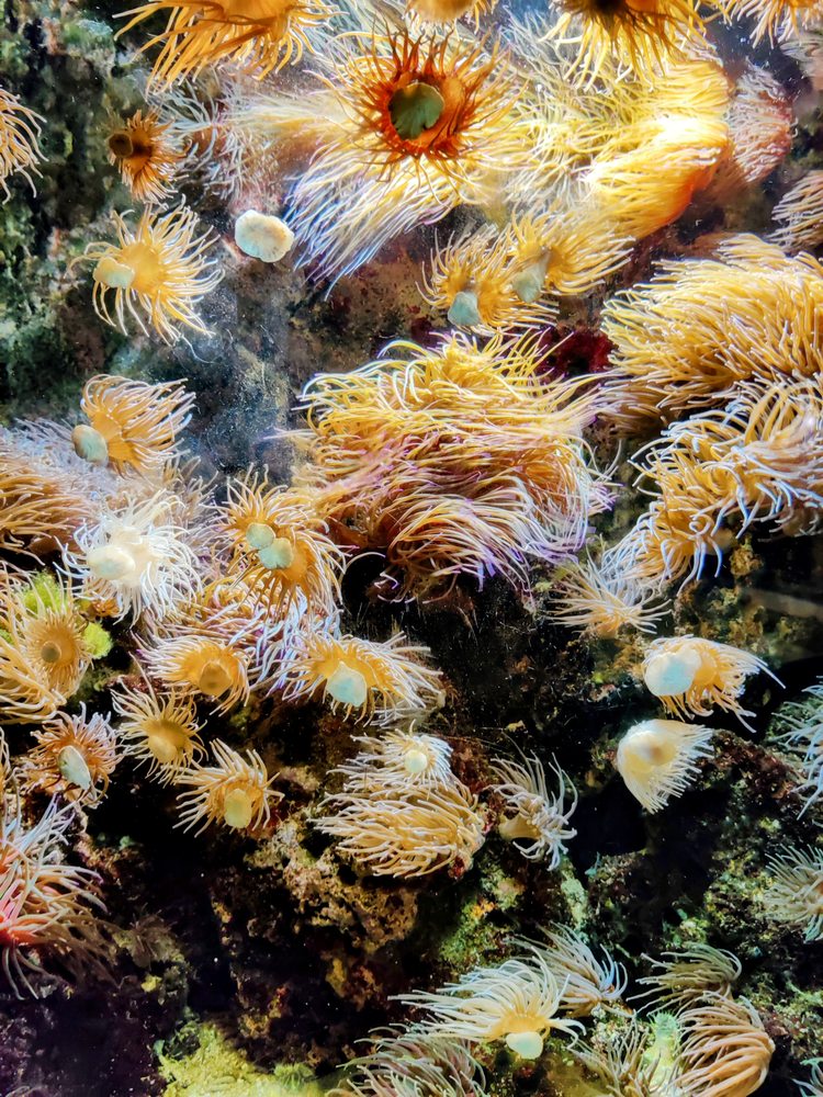 NATIONAL AQUARIUM OF IRELAND Updated September 2024 34 Photos The