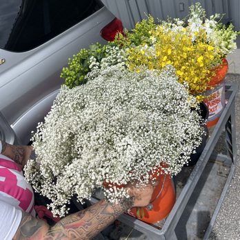 Norfolk Florist - Florists Near Me - Virginia Beach, Virginia Norfolk Florist - Florists Near Me - Virginia Beach, Virginia