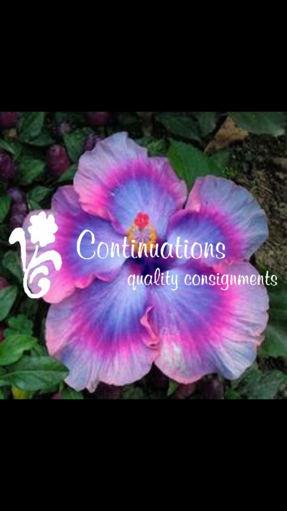 CONTINUATIONS QUALITY CONSIGNMENTS Updated August 2024 60 Access Rd