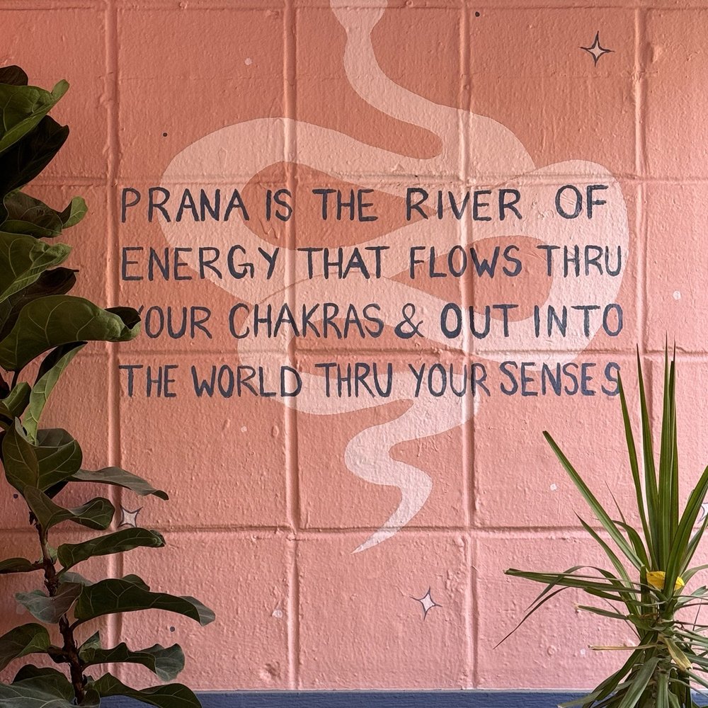 Prana Cafe - Cafes Near Me - Austin, Texas Prana Cafe - Cafes Near Me - Austin, Texas