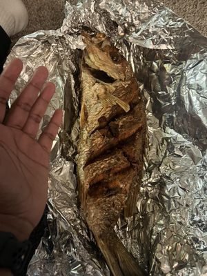 Costa Del Sol #1 South Blvd by null