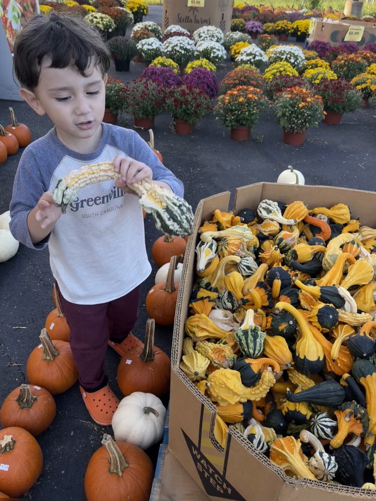 Mast General Store Image