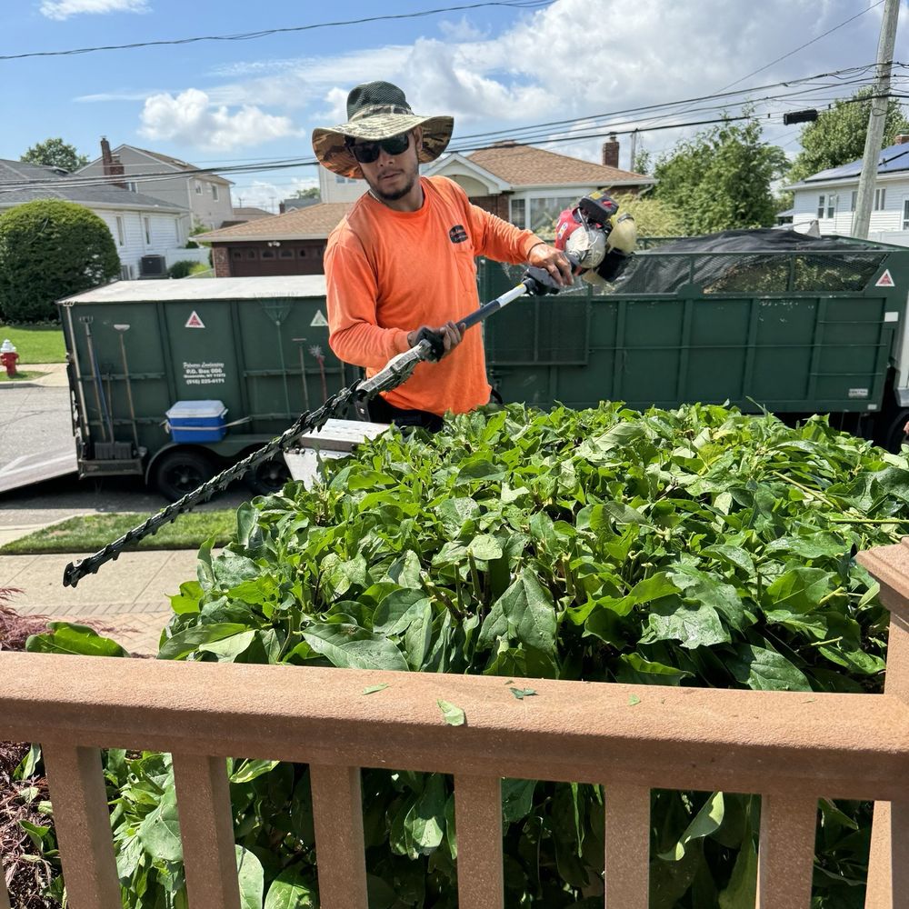 Palmares Landscaping - Hedge trimming - Landscaping Near Me - Valley Stream, New York Palmares Landscaping - Hedge trimming - Landscaping Near Me - Valley Stream, New York