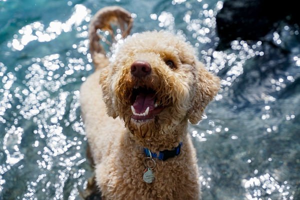 o Jupiter Florida Real Estate For Sale