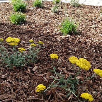 Golden Bay Landscaping - Landscaping Near Me Golden Bay Landscaping - Landscaping Near Me