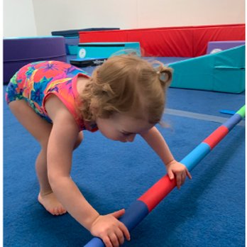 Park Gymnastics - Toddler and preschool gymnastics classes - Gymnastics Near Me - Oakland, California Park Gymnastics - Toddler and preschool gymnastics classes - Gymnastics Near Me - Oakland, California