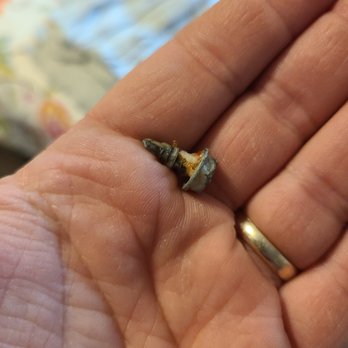 Jimmy Seas Pan Pasta - Screw found in our pasta bolognese! - Italian Near Me - Oak Bluffs, Massachusetts Jimmy Seas Pan Pasta - Screw found in our pasta bolognese! - Italian Near Me - Oak Bluffs, Massachusetts