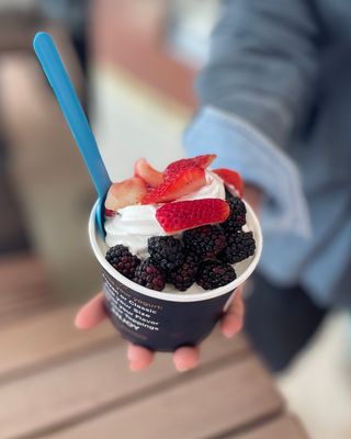Go Greek Yogurt by null