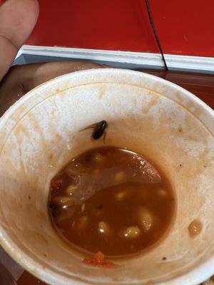 Food From The Heart by null