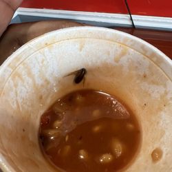 Food From The Heart - Roach in food