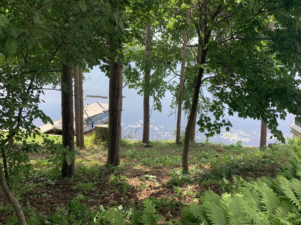 Robles Tree Services - tree service in Allen Park, MI