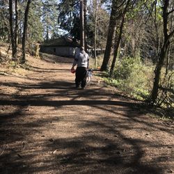 Wapato Park Off Leash Dog Park - Walking the off leash trail