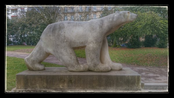 Darcy Garden by null