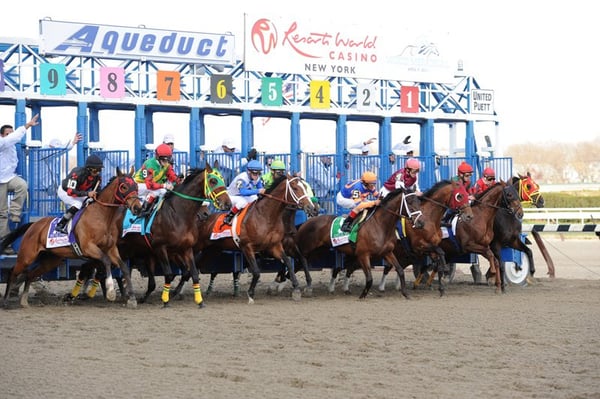 Belmont Park by null