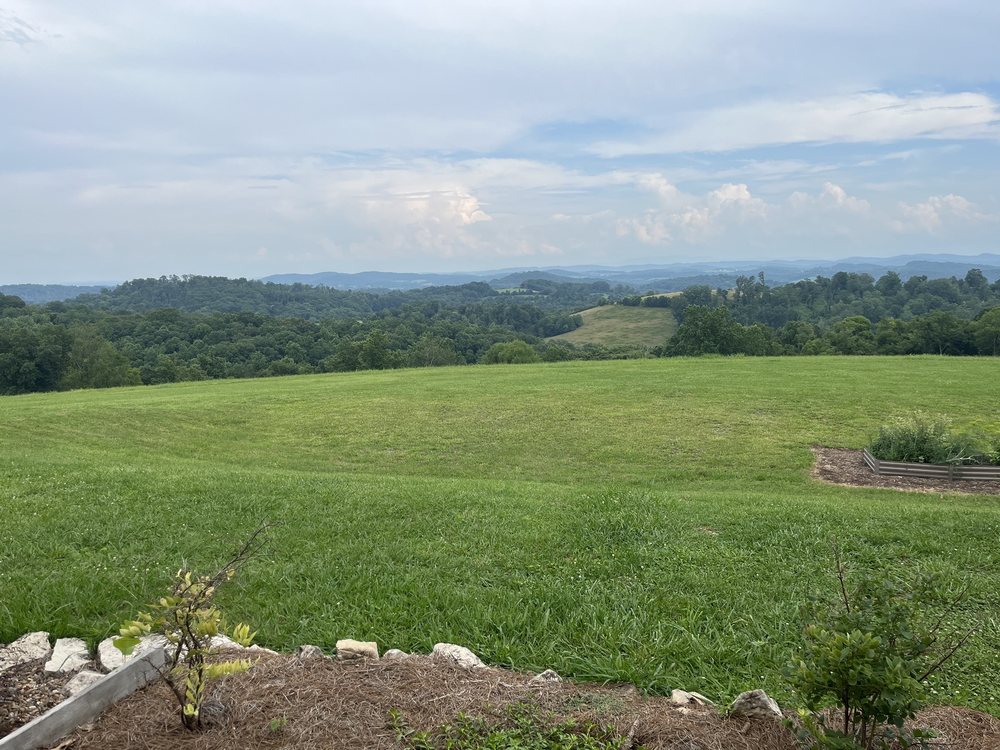 Spout Spring Estates Winery and Vineyard - vineyard in Blaine, TN