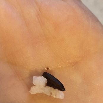 Thai Lahnna - Mouse feces in my rice - Thai Near Me - Portland, Oregon Thai Lahnna - Mouse feces in my rice - Thai Near Me - Portland, Oregon