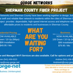 Gorge Networks