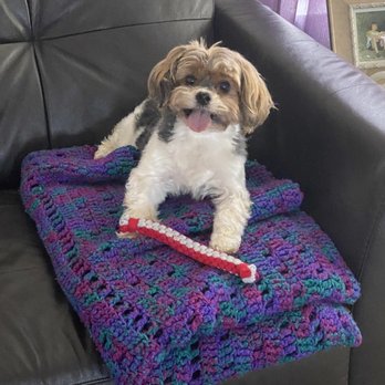 O’so Fresh Dog Grooming - Pet Groomers Near Me O’so Fresh Dog Grooming - Pet Groomers Near Me