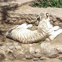 Zoo Córdoba