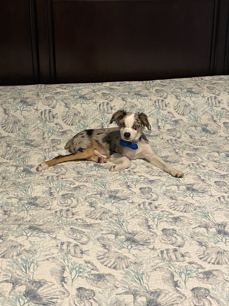 UNLIMITED COMFORT MATTRESS FACTORY 4051 Clark Rd, Sarasota, Florida