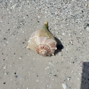 Tigertail Beach - We put it back - Beaches Near Me - Marco Island, Florida Tigertail Beach - We put it back - Beaches Near Me - Marco Island, Florida
