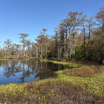 Dungannon Heritage Preserve - Pond - Hiking Near Me - Hollywood, South Carolina Dungannon Heritage Preserve - Pond - Hiking Near Me - Hollywood, South Carolina
