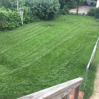 All Brothers Lawn Squad - The yard looks like complete crap thanks to All Brothers Lawn Squad LLC - Pest Control Near Me - Union City, Indiana All Brothers Lawn Squad - The yard looks like complete crap thanks to All Brothers Lawn Squad LLC - Pest Control Near Me - Union City, Indiana