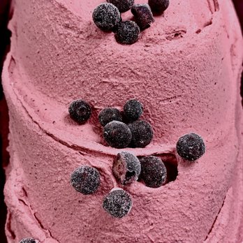 Pugnuts Ice Cream Shop - Blueberry sorbet made with Wyman's of MAINE berries! - Ice Cream & Frozen Yogurt Near Me - Surry, Maine Pugnuts Ice Cream Shop - Blueberry sorbet made with Wyman's of MAINE berries! - Ice Cream & Frozen Yogurt Near Me - Surry, Maine