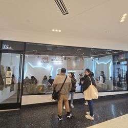 Kokoro Cat Cafe - Storefront