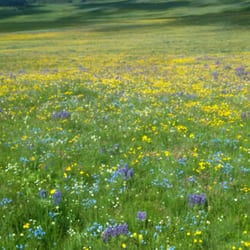 Wyoming Backroad Tours - Bring your camera