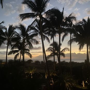 Pineapple Inn Maui - Bed & Breakfast Near Me - Kihei, Hawaii Pineapple Inn Maui - Bed & Breakfast Near Me - Kihei, Hawaii
