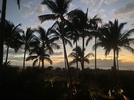 Pineapple Inn Maui by null