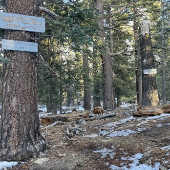 Tahquitz Peak via Devil's Slide Trail - Juncture - Hiking Near Me - Idyllwild-Pine Cove, California Tahquitz Peak via Devil's Slide Trail - Juncture - Hiking Near Me - Idyllwild-Pine Cove, California